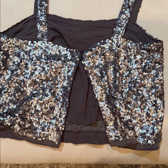 Abercrombie and Fitch Silver Sequin Crop Tank - Picture 6 of 6